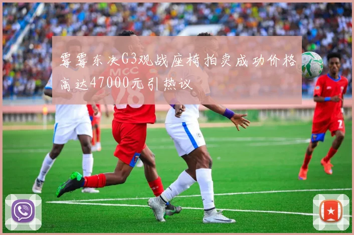 霉霉东决G3观战座椅拍卖成功价格高达47000元引热议